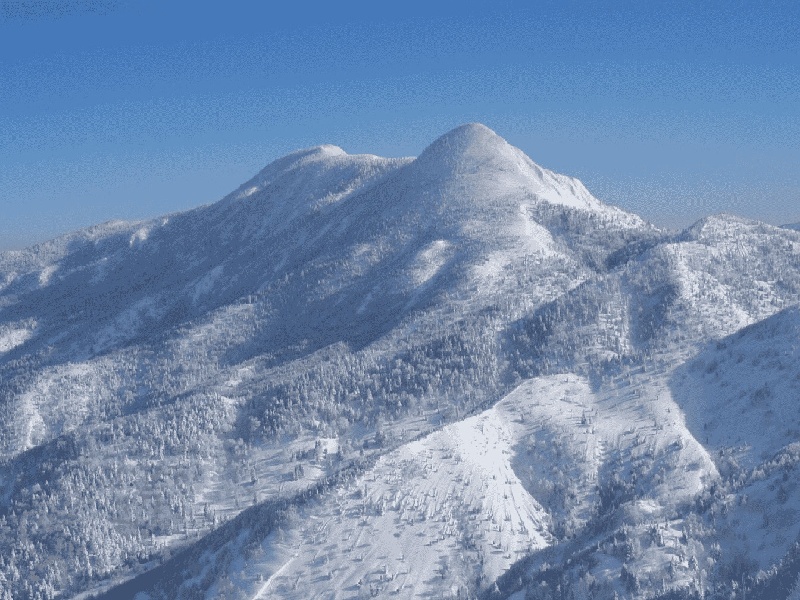 道县试管婴儿，试管医生没说方案